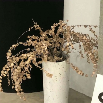 Furry插画细节刻画FurryQQ群